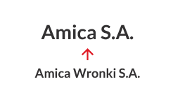 2016 - Changement de nom de Amica Wronki S.A. en Amica S.A.